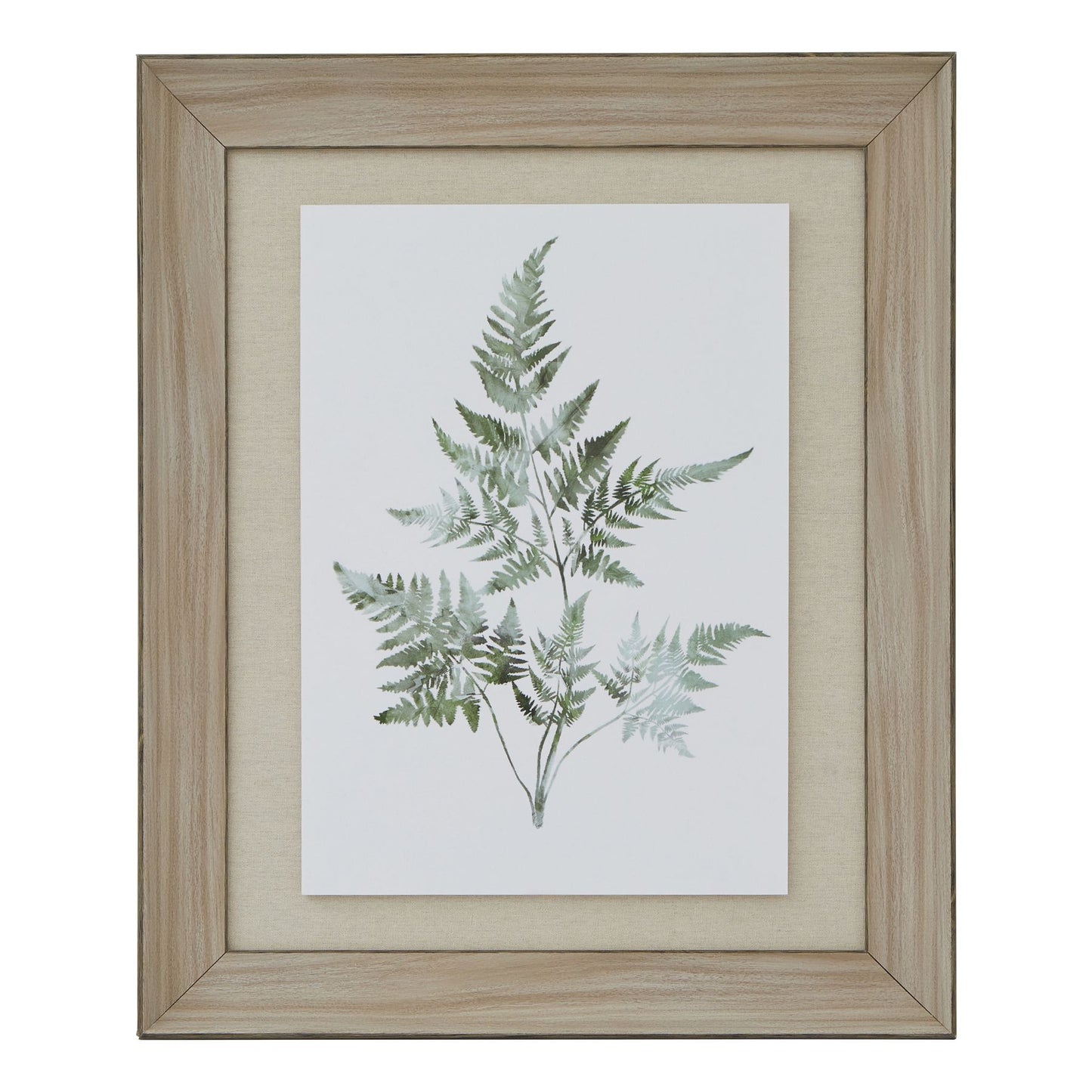 Watercolour Ferns in Washed Wood Frame