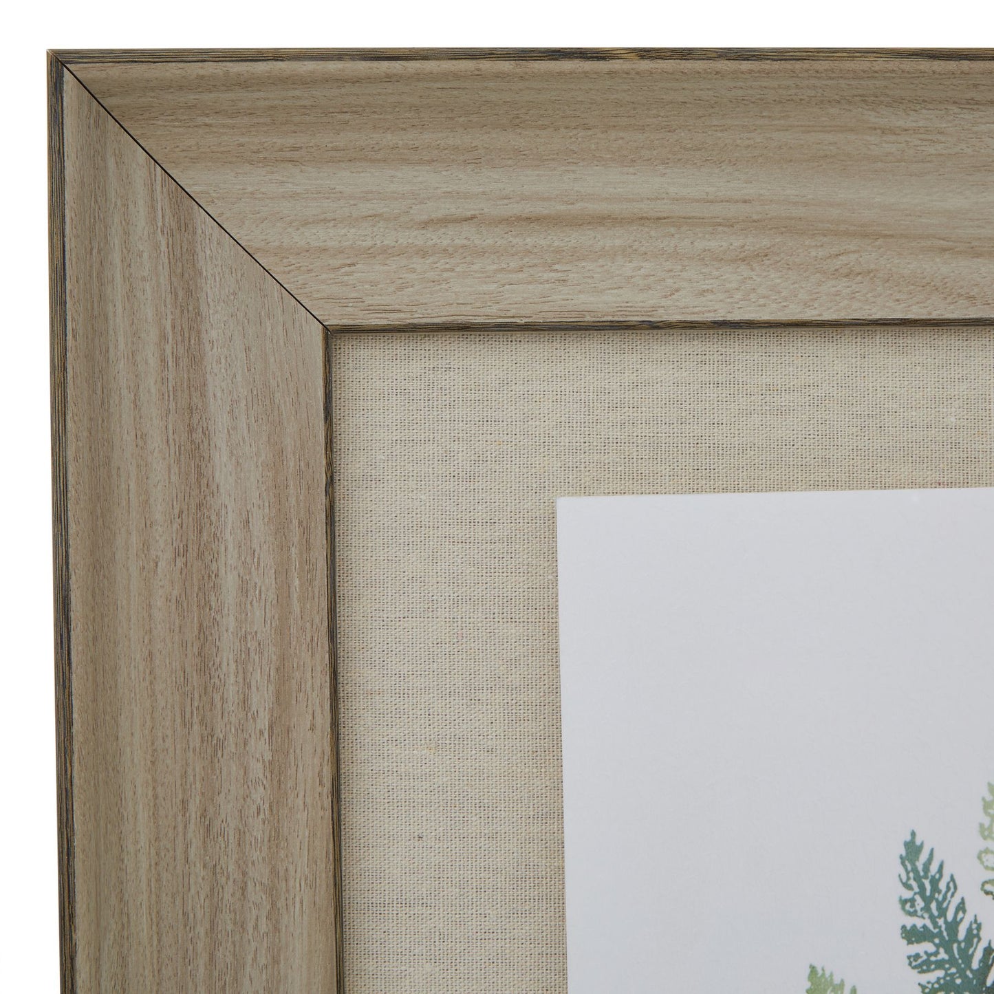 Watercolour Ferns in Washed Wood Frame