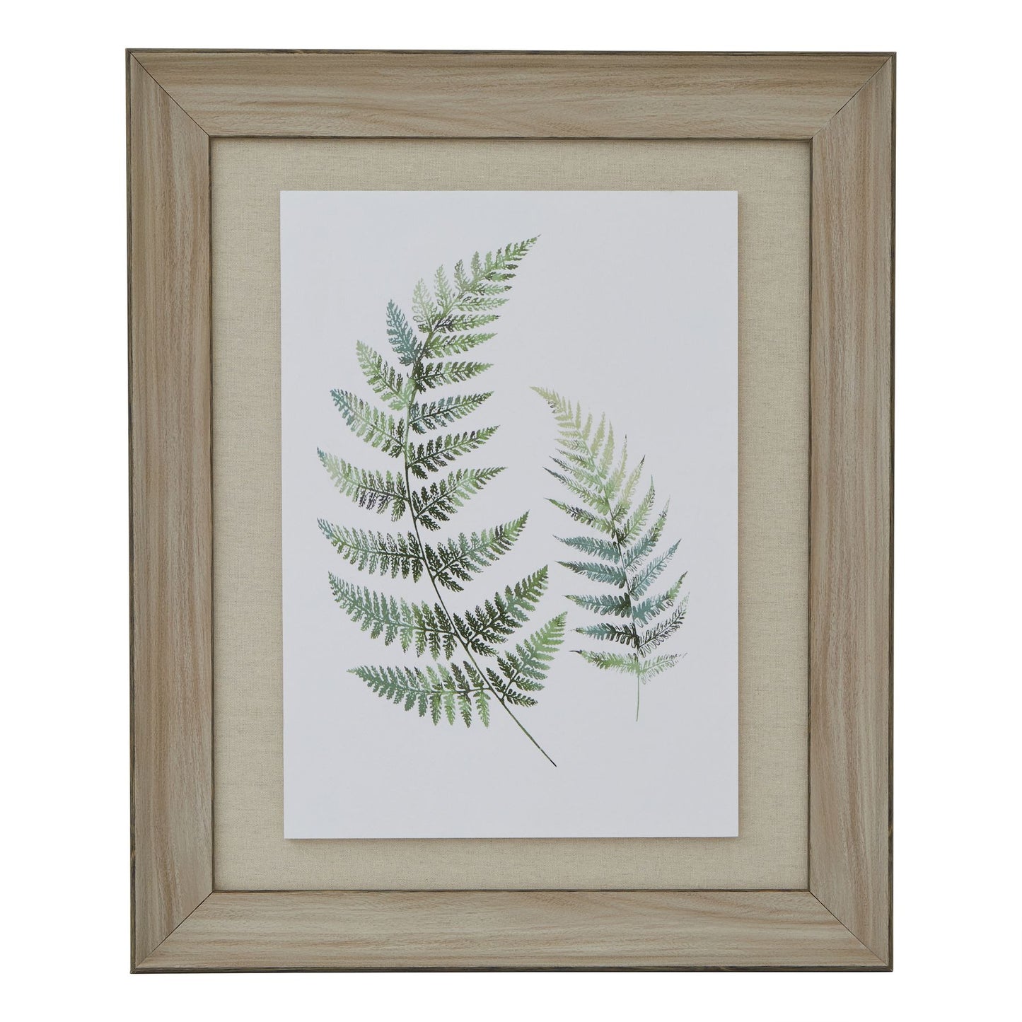 Watercolour Ferns in Washed Wood Frame