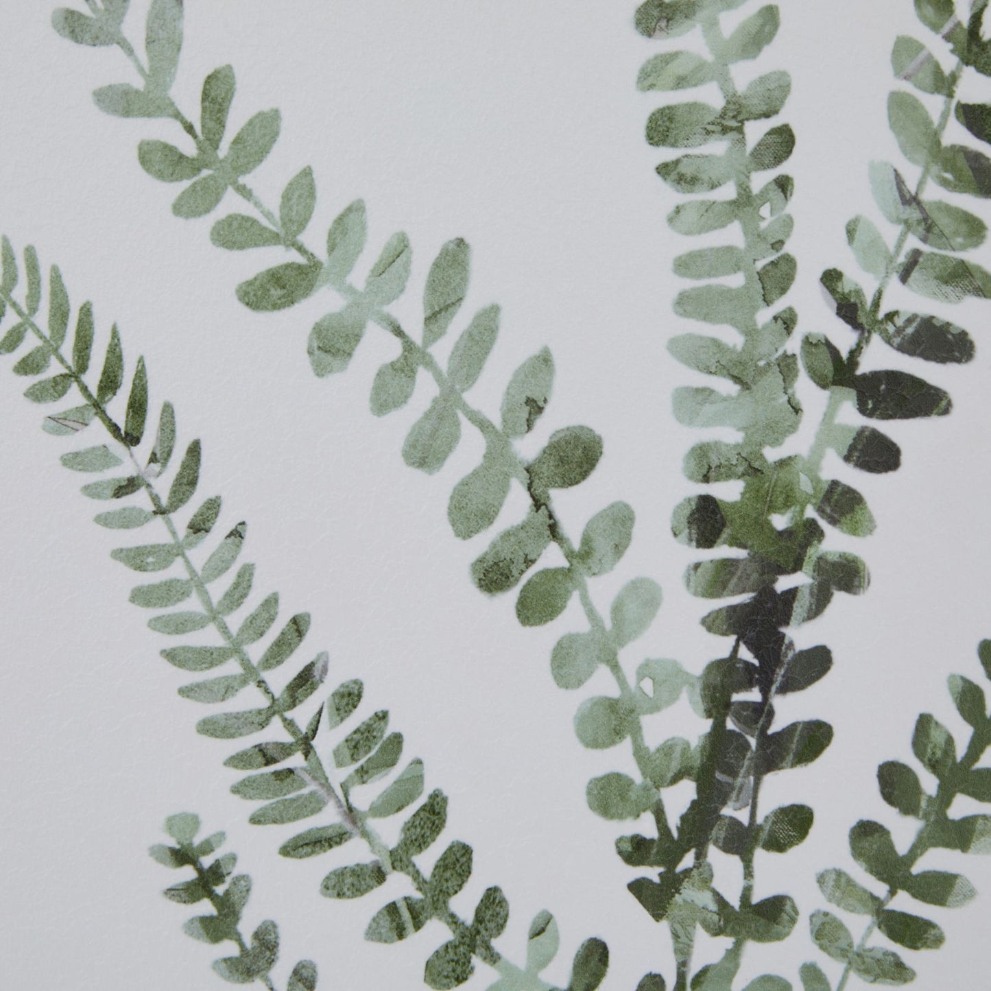 Watercolour Ferns in Washed Wood Frame