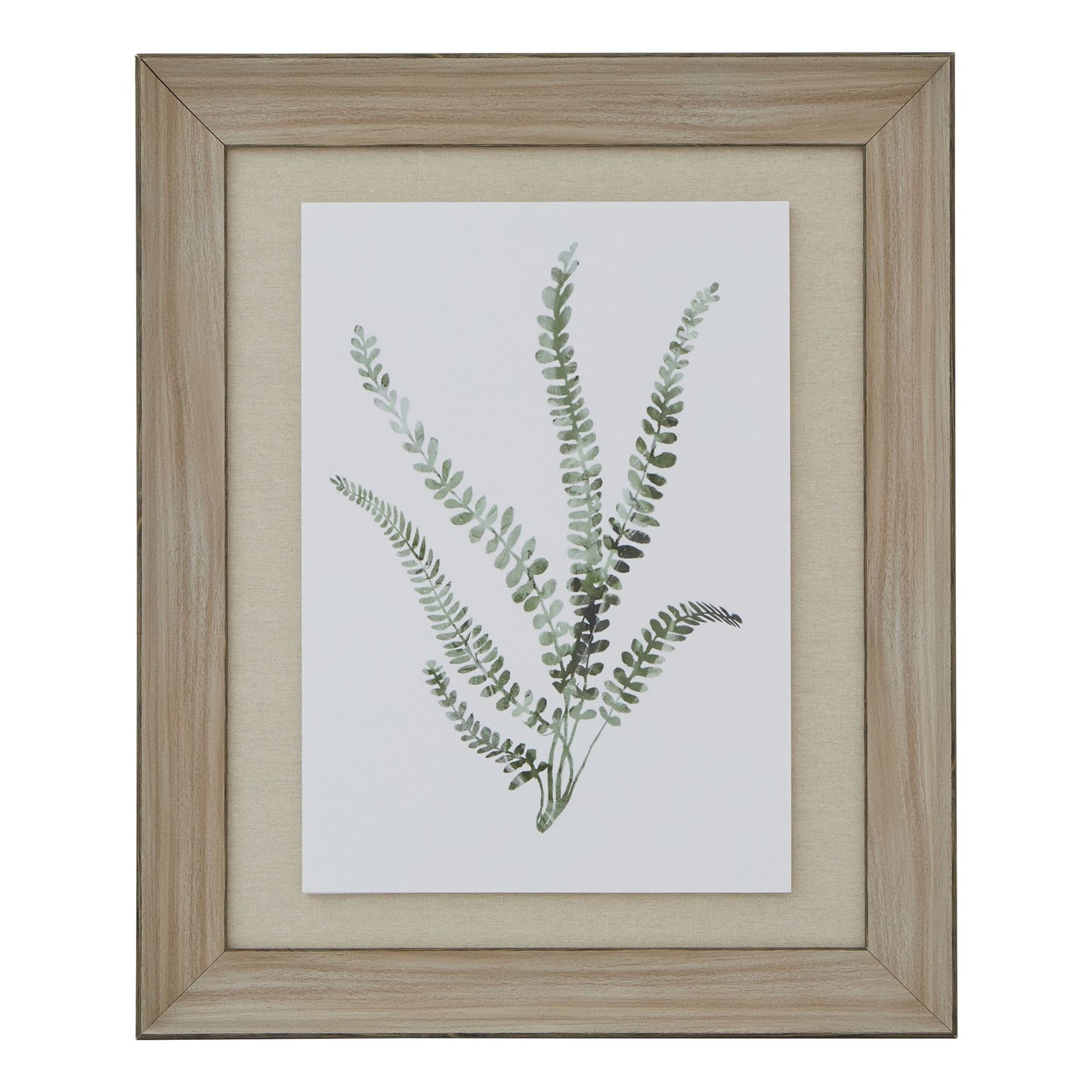 Watercolour Ferns in Washed Wood Frame
