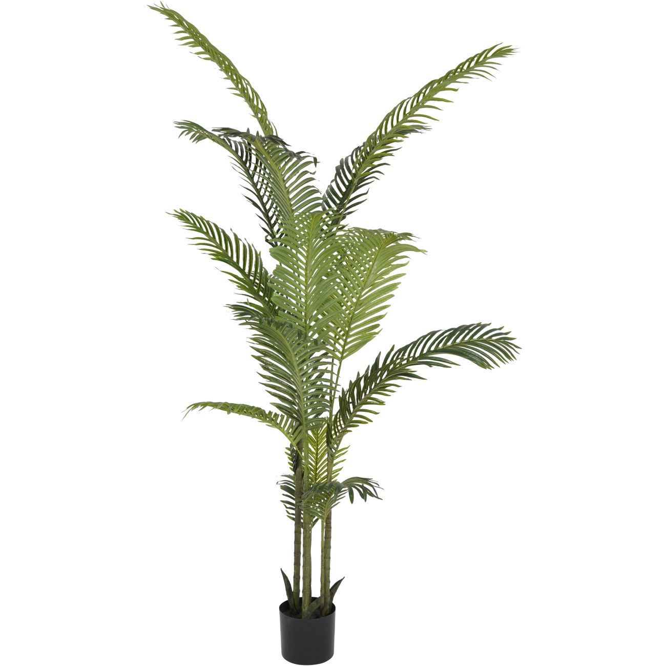 Faux Large Areca Palm